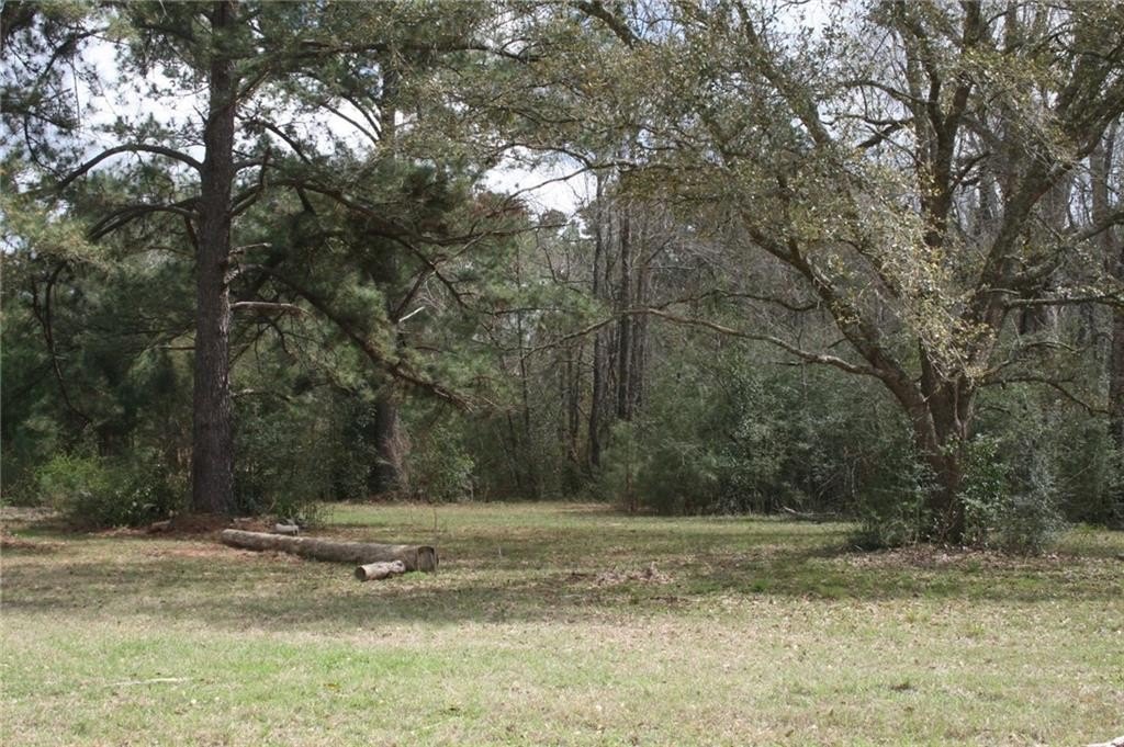 Picture 11
