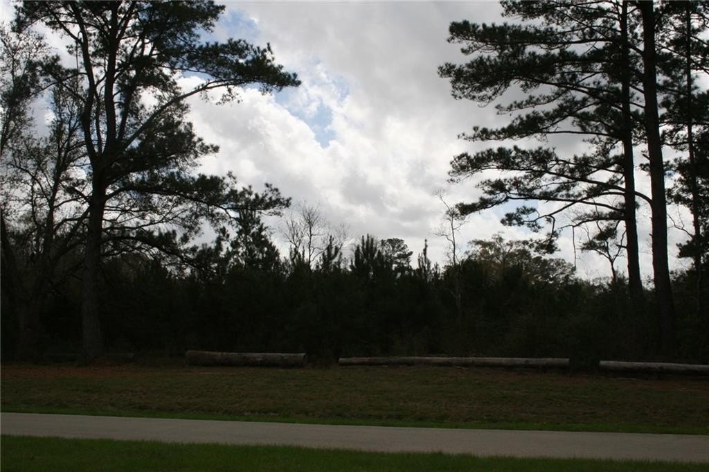 Picture 10
