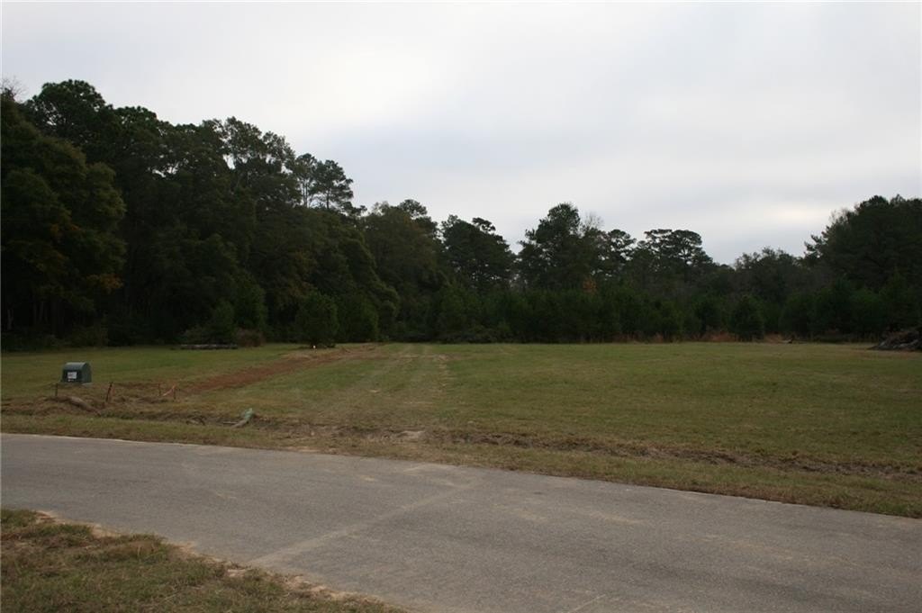 Picture 31