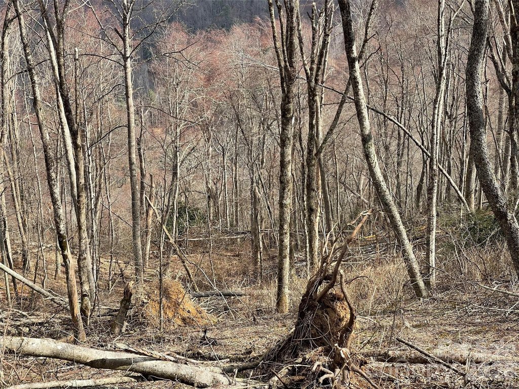 Picture 24