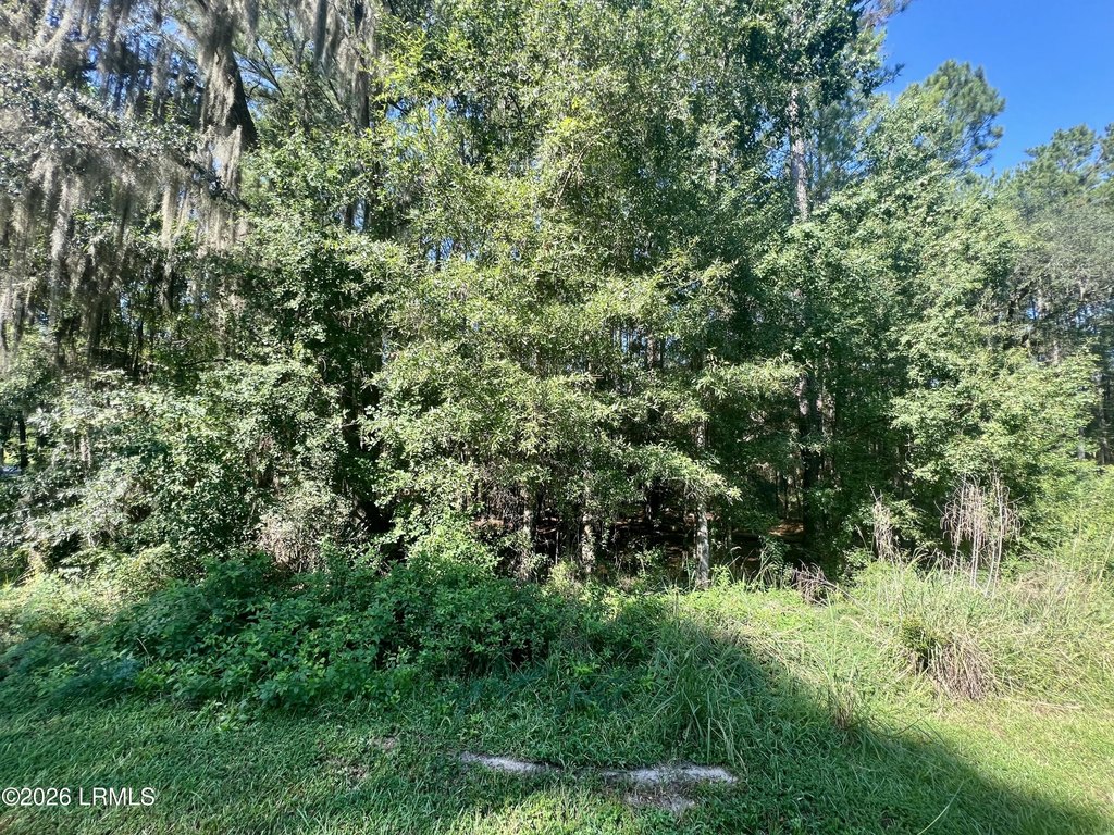 Picture 14