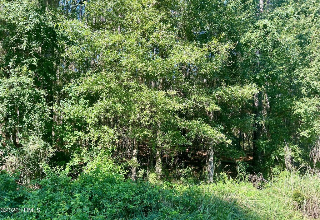 Picture 16