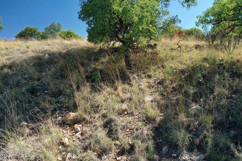 Picture 8