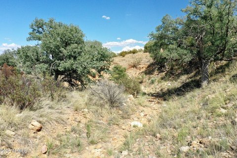 LAND - Hereford, AZ
