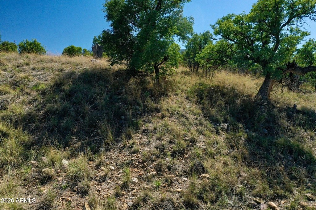 Picture 7