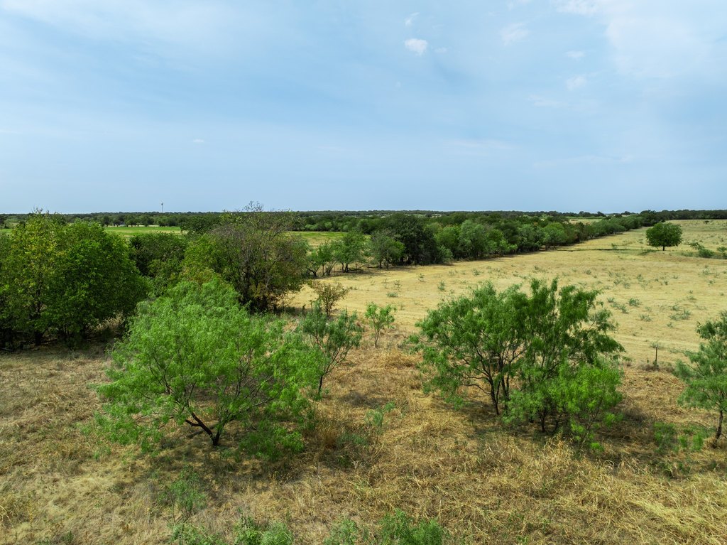 Picture 22