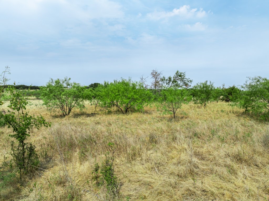 Picture 19