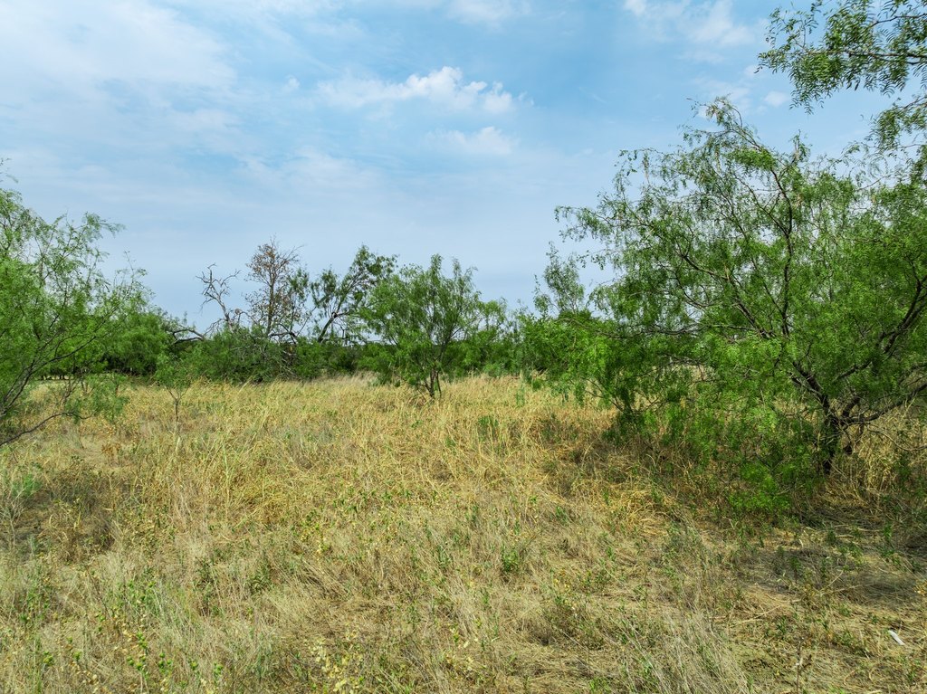 Picture 21