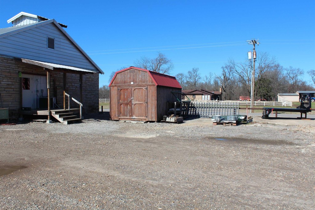 Picture 12