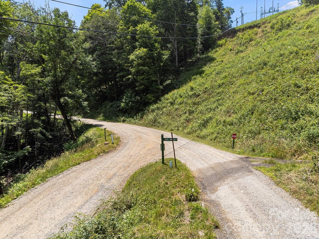 Picture 23
