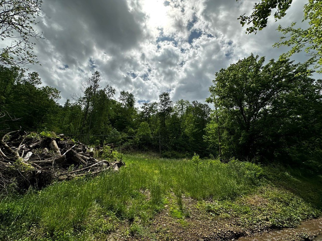 Picture 3