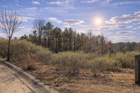 Residential Lot in Gated Community