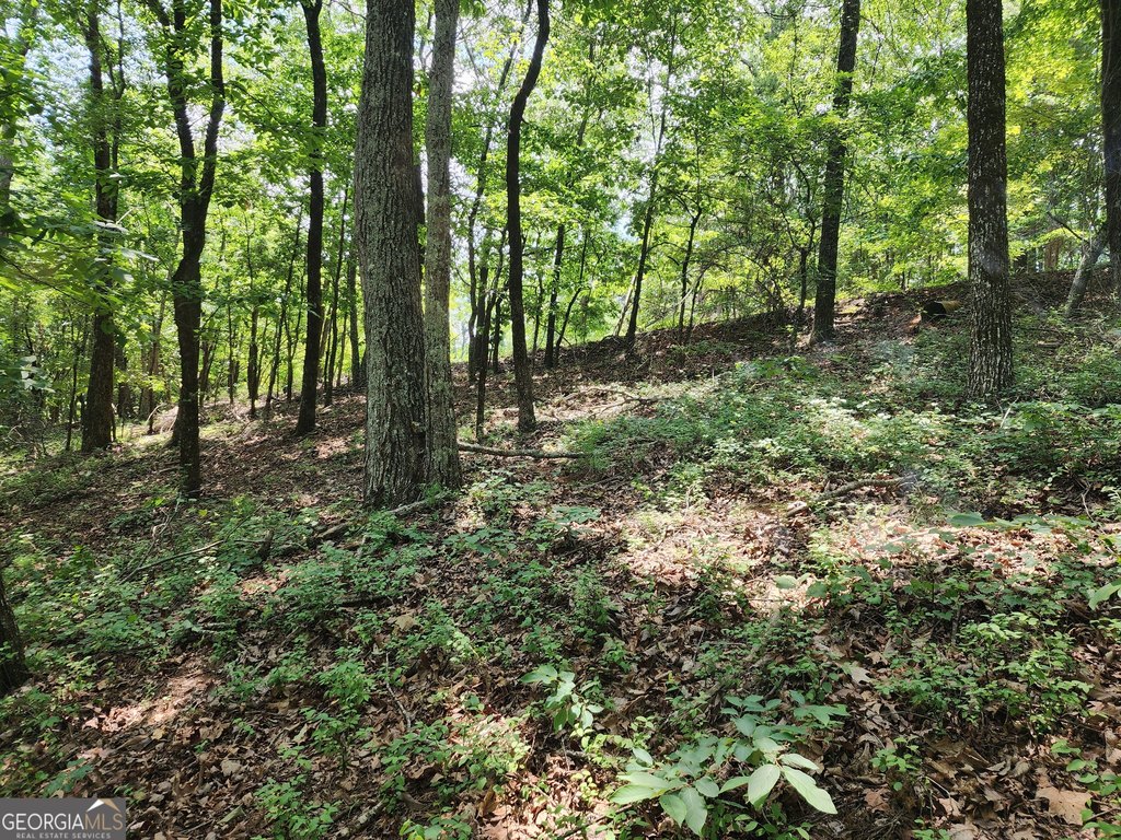 Picture 13