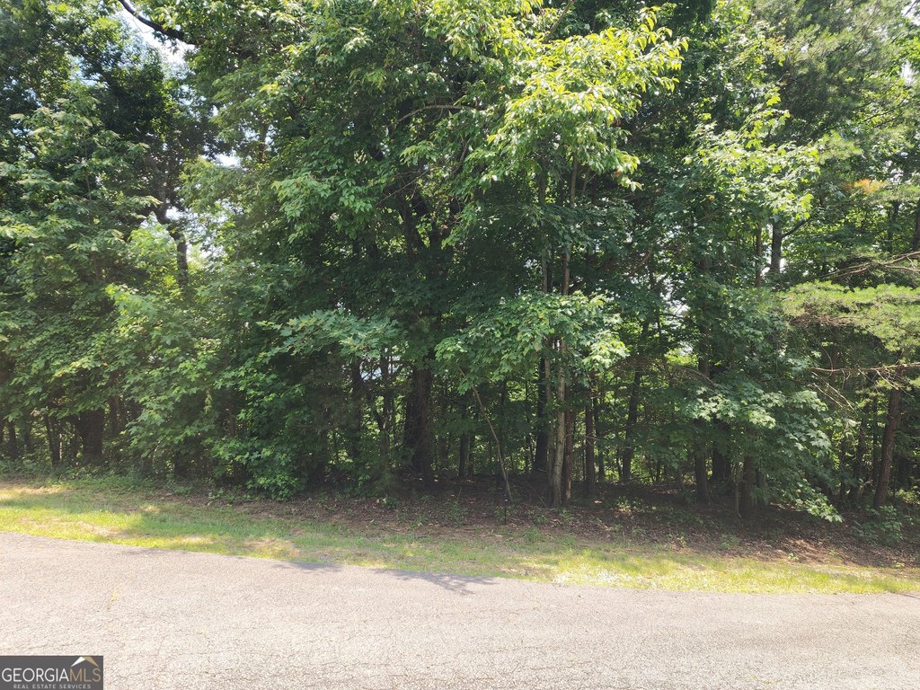 Picture 10