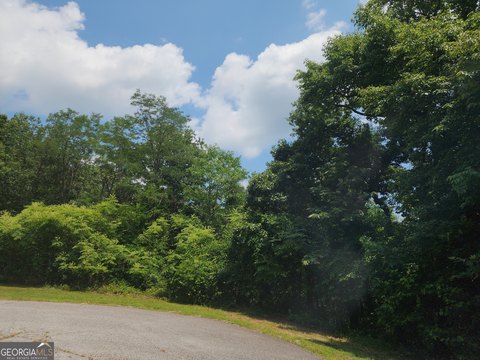 LAND - Clarkesville, GA