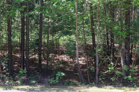 Genoa Acreage with Lake Access