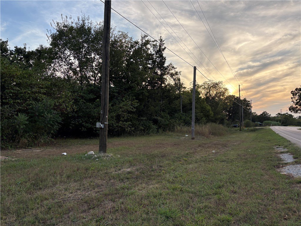Picture 11