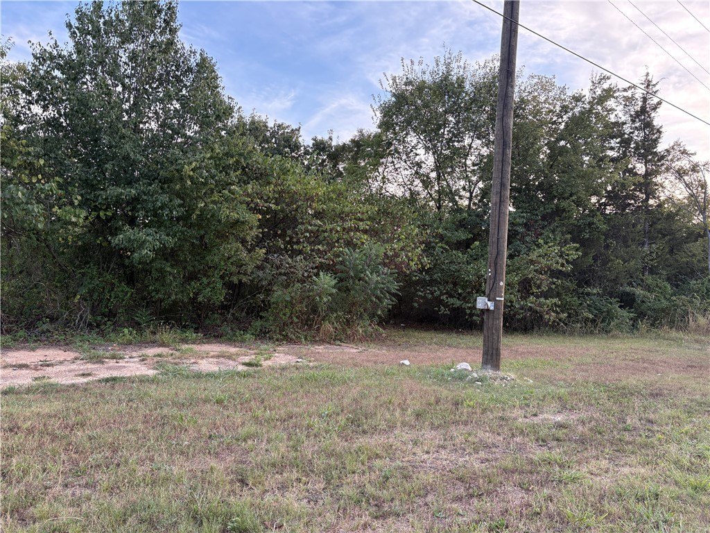 Picture 12
