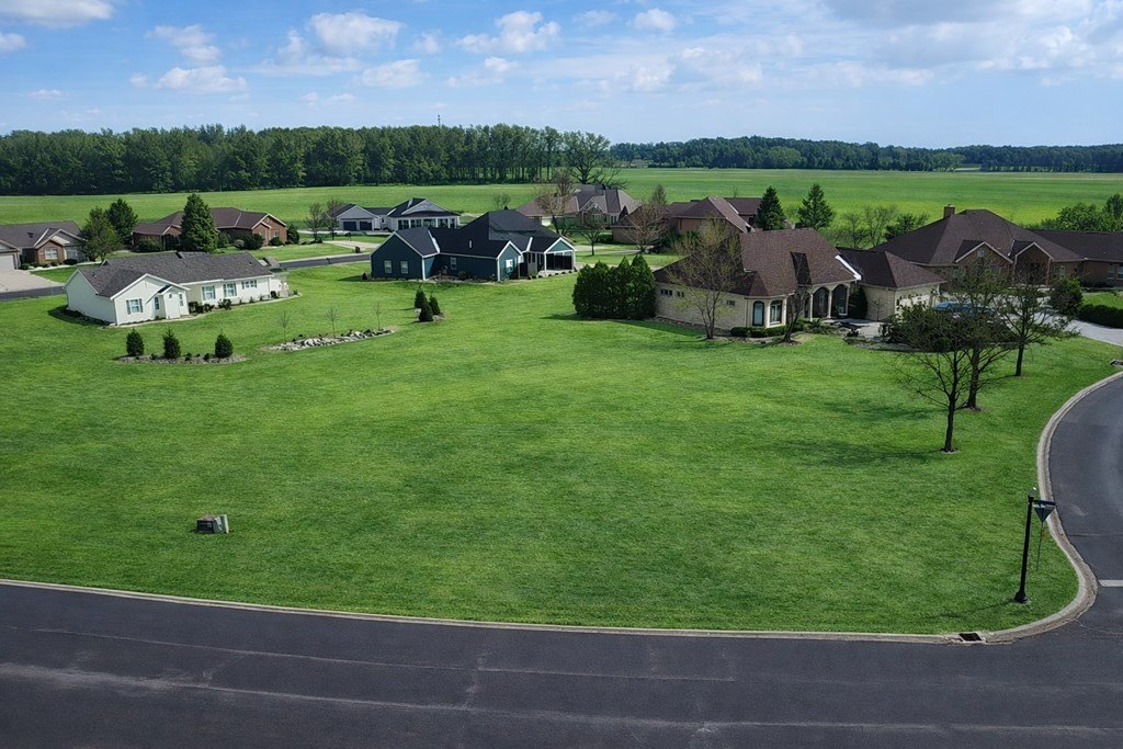 Picture 2