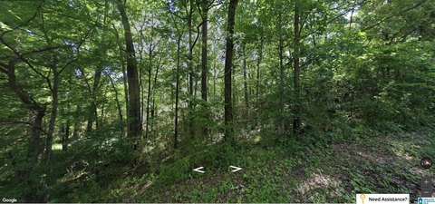Small Commercial Land Lot