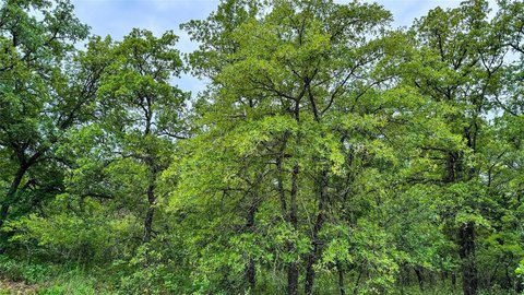 Adjoining Residential Recreation Lots