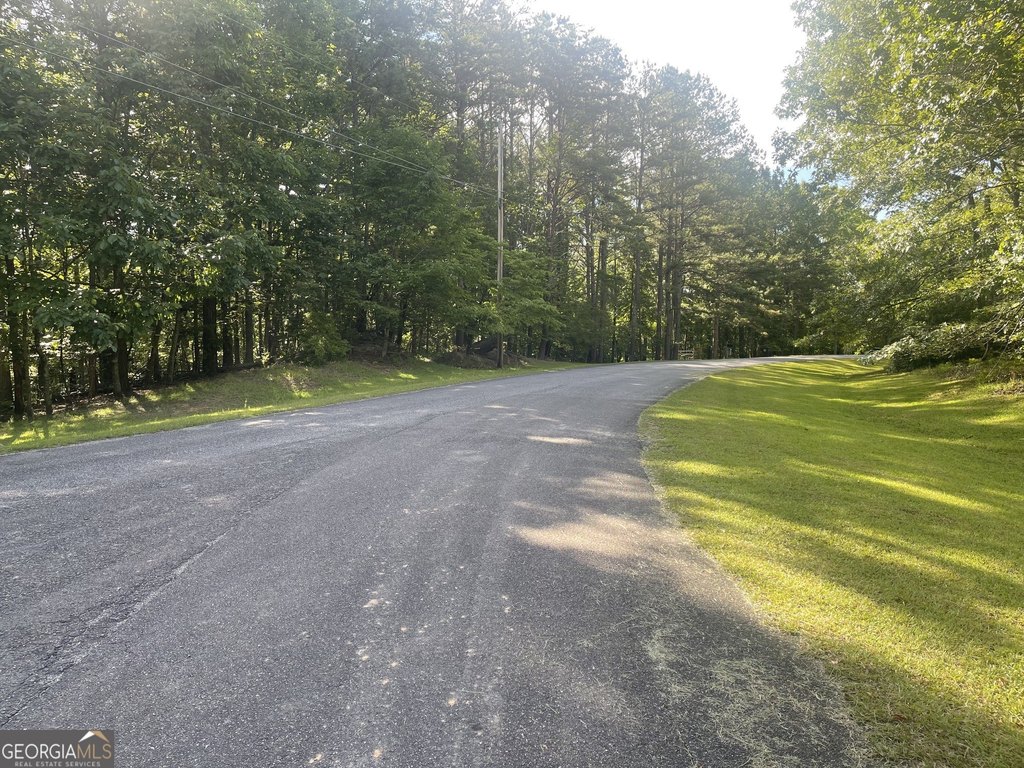 Picture 5