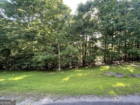 Wooded Lot in Ball Ground