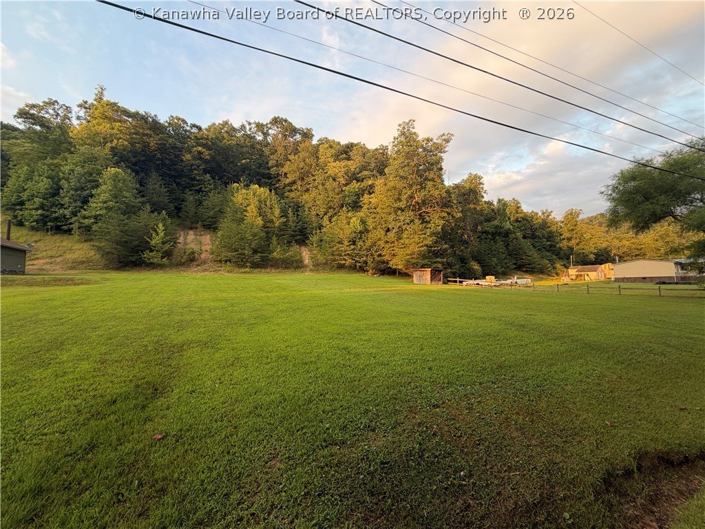 Picture 10