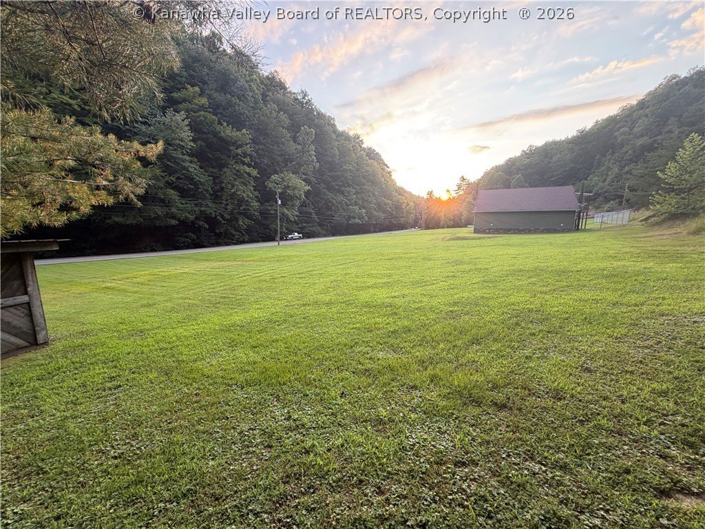Picture 17