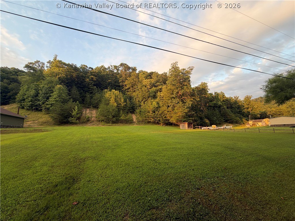 Picture 11