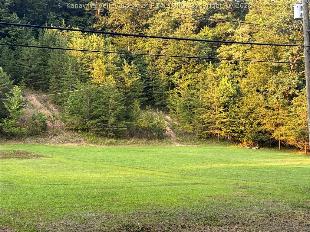 Picture 9