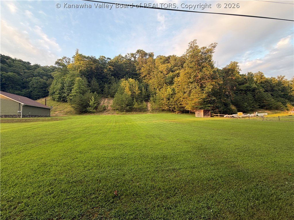 Picture 12