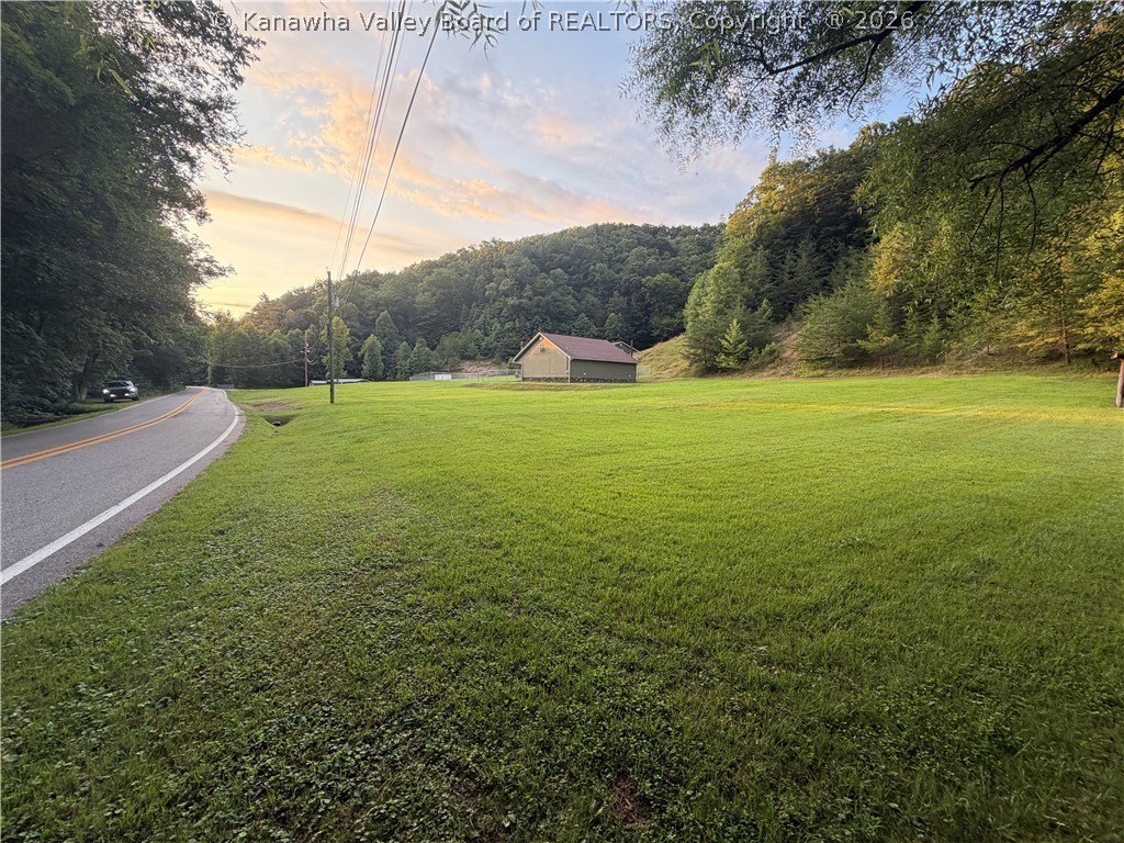 Picture 15