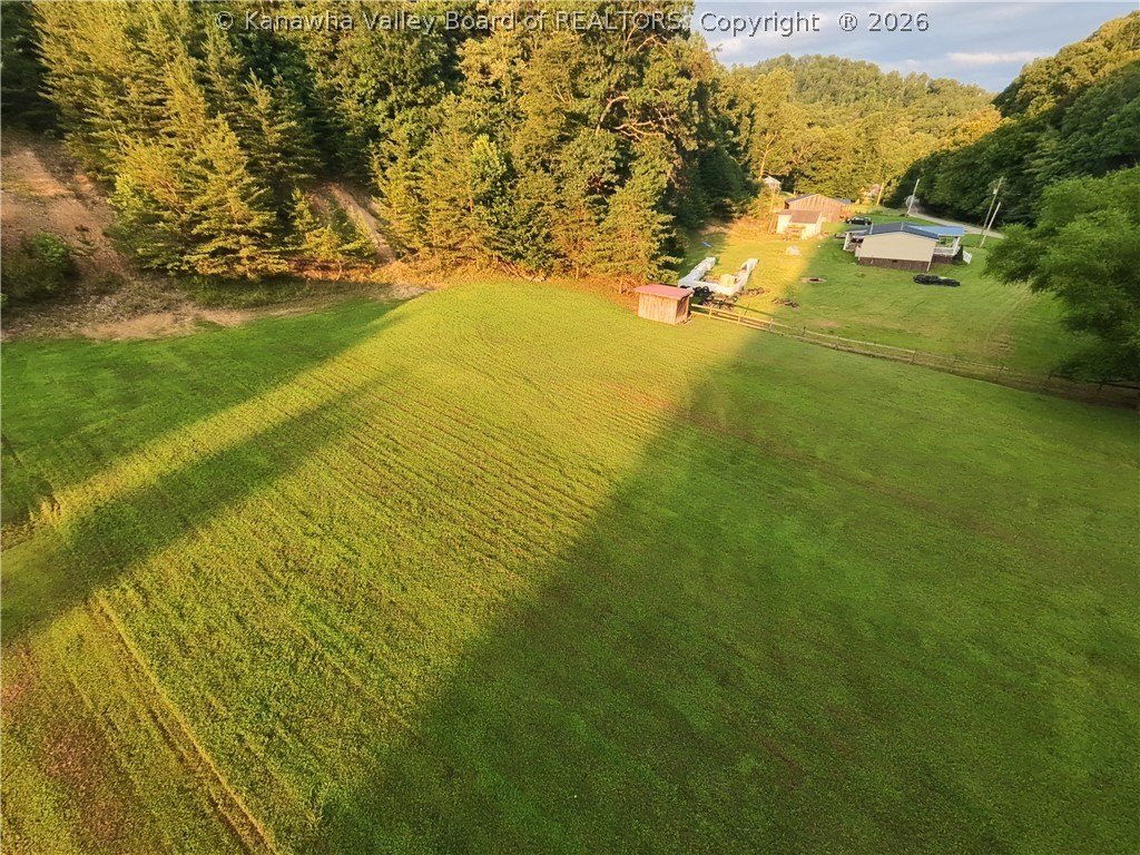 Picture 3