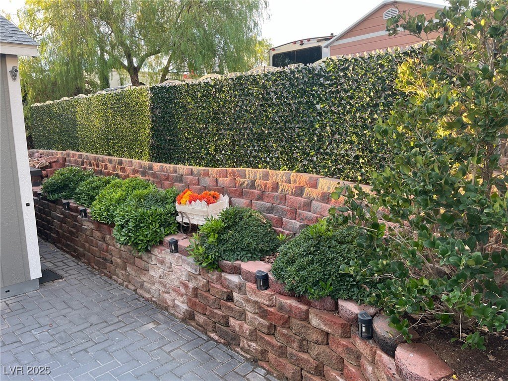 Picture 5