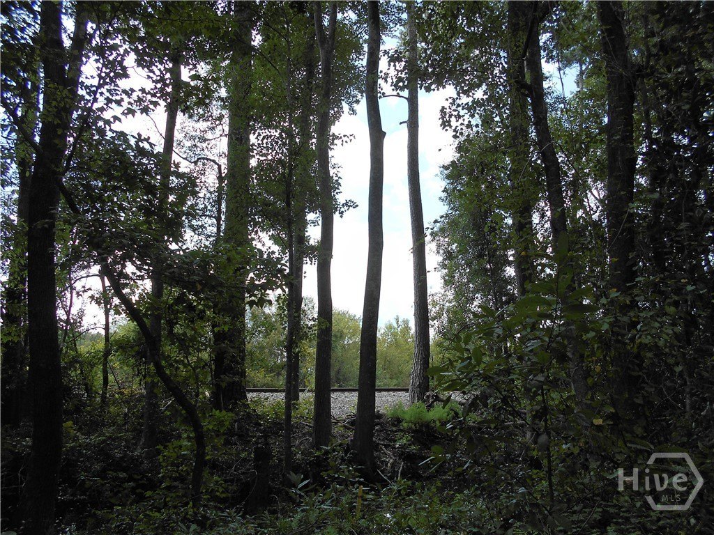 Pooler Land with Rail Access