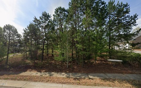 Residential Lot in Birchbridge Subdivision