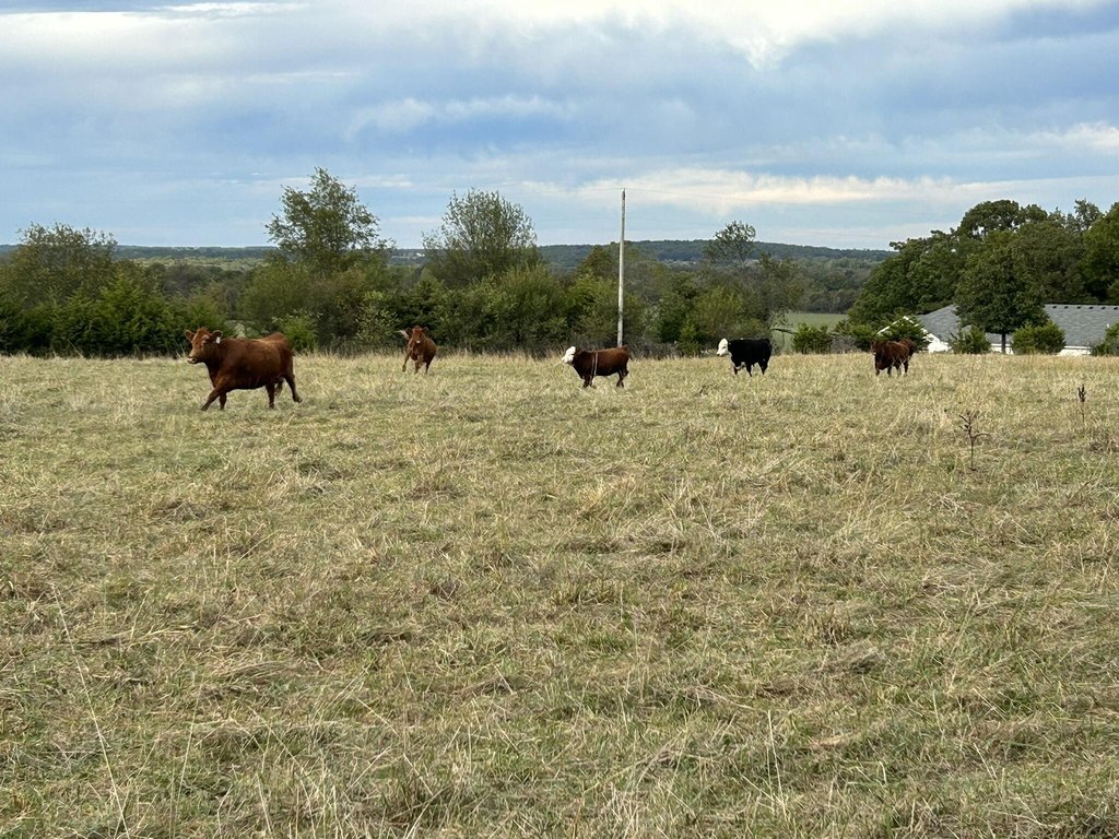 Picture 9