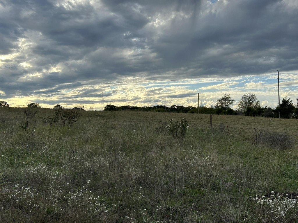 Picture 16