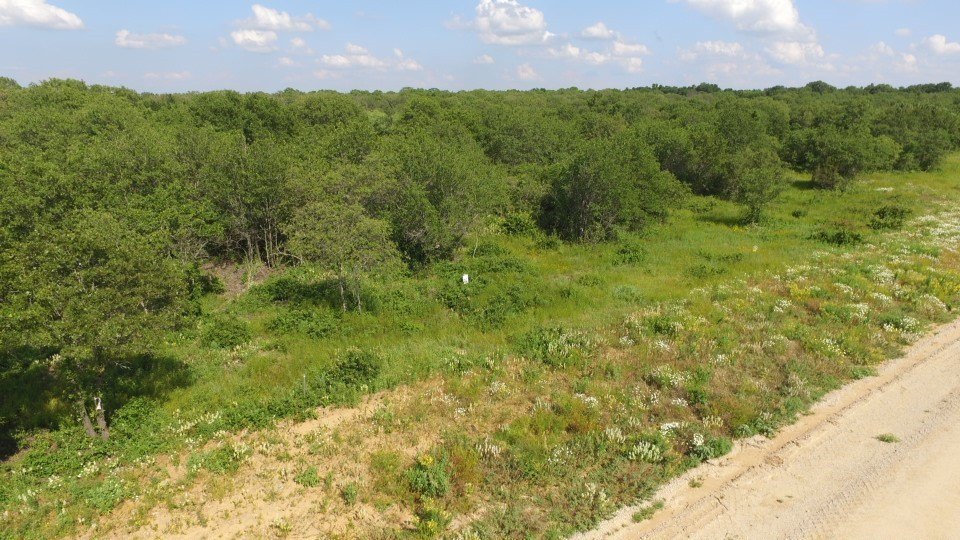 Picture 14