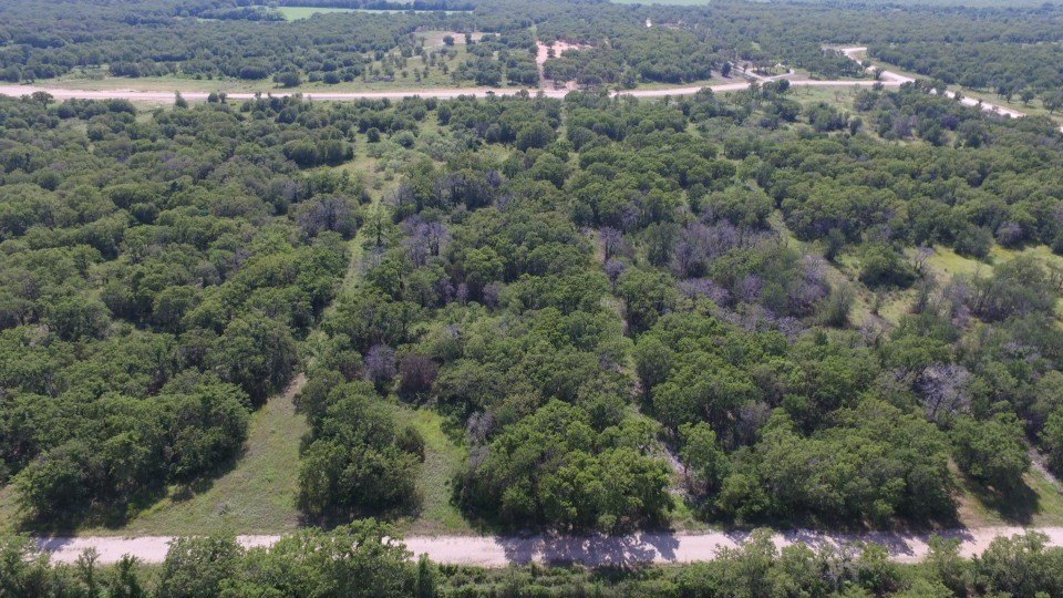 Picture 8