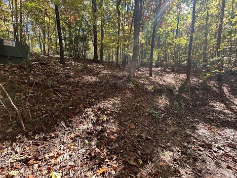 LAND - Brasstown, NC