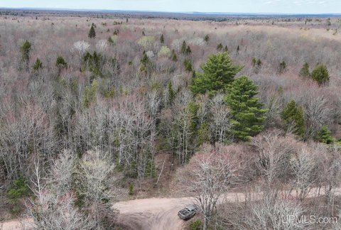 Heavily Wooded Recreational Land