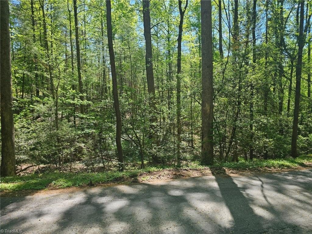 Two Wooded Lots in Wilkesboro