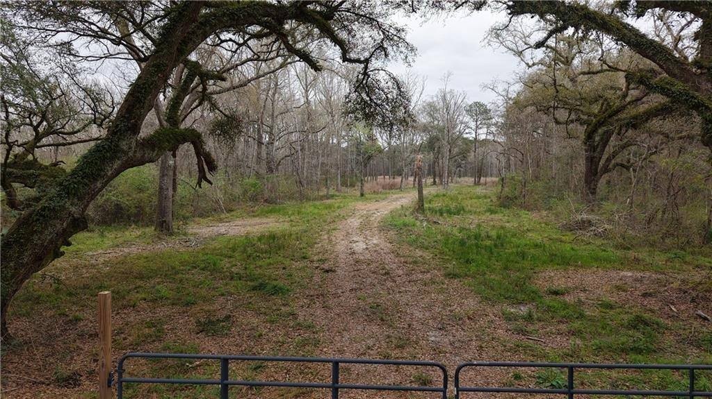 13.08 Acre Lot Ready