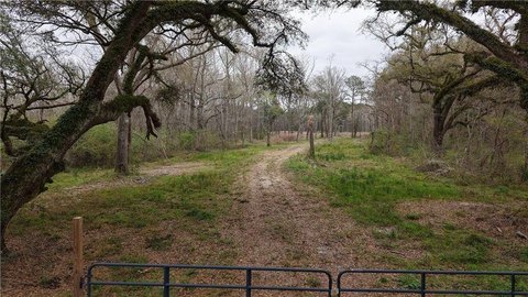 13.08 Acre Lot Ready to Build
