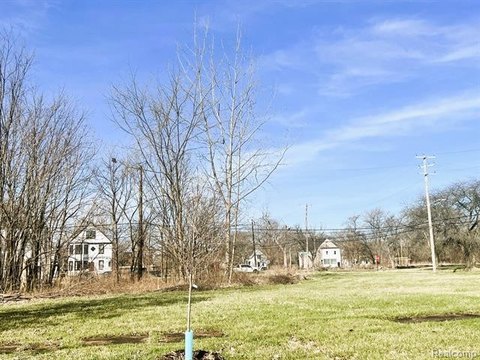 Land Opportunity in Poletown Community