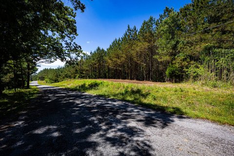 Pine Timber Recreational Acreage