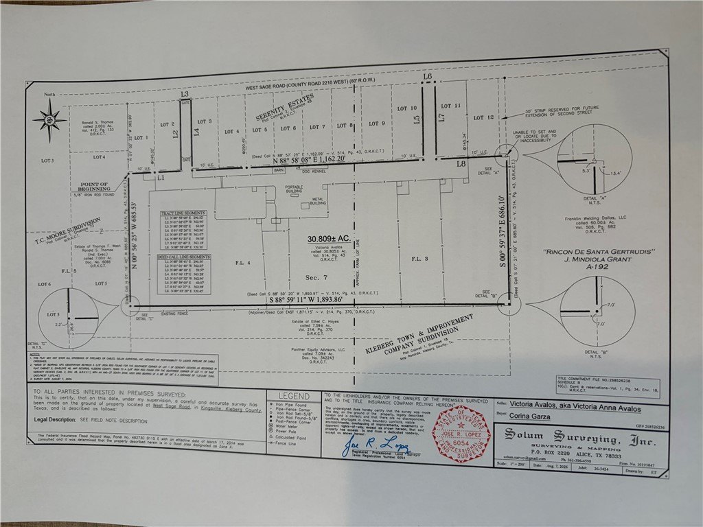 Picture 6