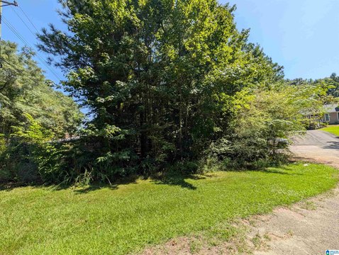 LAND/LOTS, CROPWELL, AL